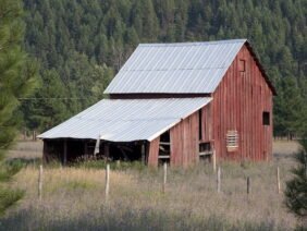 A rustic red barn with a silver metal roof stands in an open field surrounded by a wire fence. There are tall pine trees in the background and wildflowers in the foreground, creating a serene rural scene.
